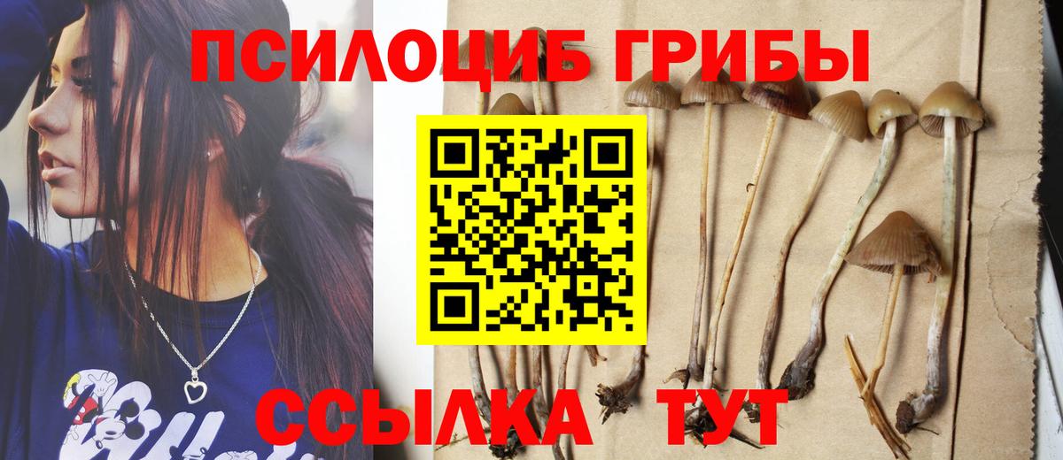 Каменск-Шахтинский  Псилоцибиновые грибы Magic Shrooms  Вход с VPN 